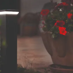 Oświetlenie ogrodowe: nowoczesna, czarna lampa stojąca z białym światłem, obok donica z czerwonymi pelargoniami, wieczorny klimat.