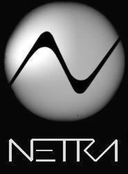 Monochromatyczne logo firmy NETRA w kształcie kuli przeciętej stylizowaną literą 'N', z nazwą firmy zapisaną poniżej w minimalistycznym kroju pisma.