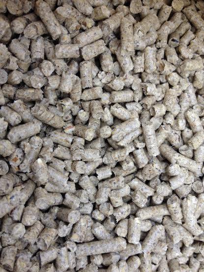 Jasne, granulowane pasze ułożone blisko siebie, wypełniające kadr. Widoczne nierówności i drobne pęknięcia na powierzchni granulek.