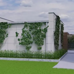 Wizualizacja ogrodu z nowoczesnym białym murem, po którym pną się rośliny, z równo przystrzyżonym trawnikiem i widokiem na budynek w tle.