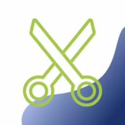 Custom Software Development