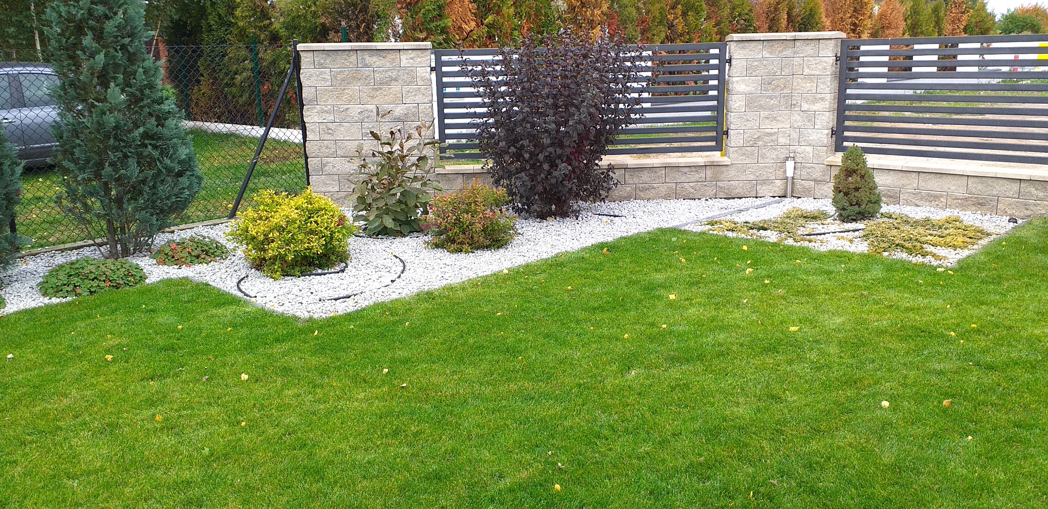 Zadbany trawnik z równo przystrzyżoną trawą, otoczony rabatami z białego żwiru i różnorodnymi krzewami ozdobnymi, w tle nowoczesne ogrodzenie z elementami betonowymi i metalowymi.
