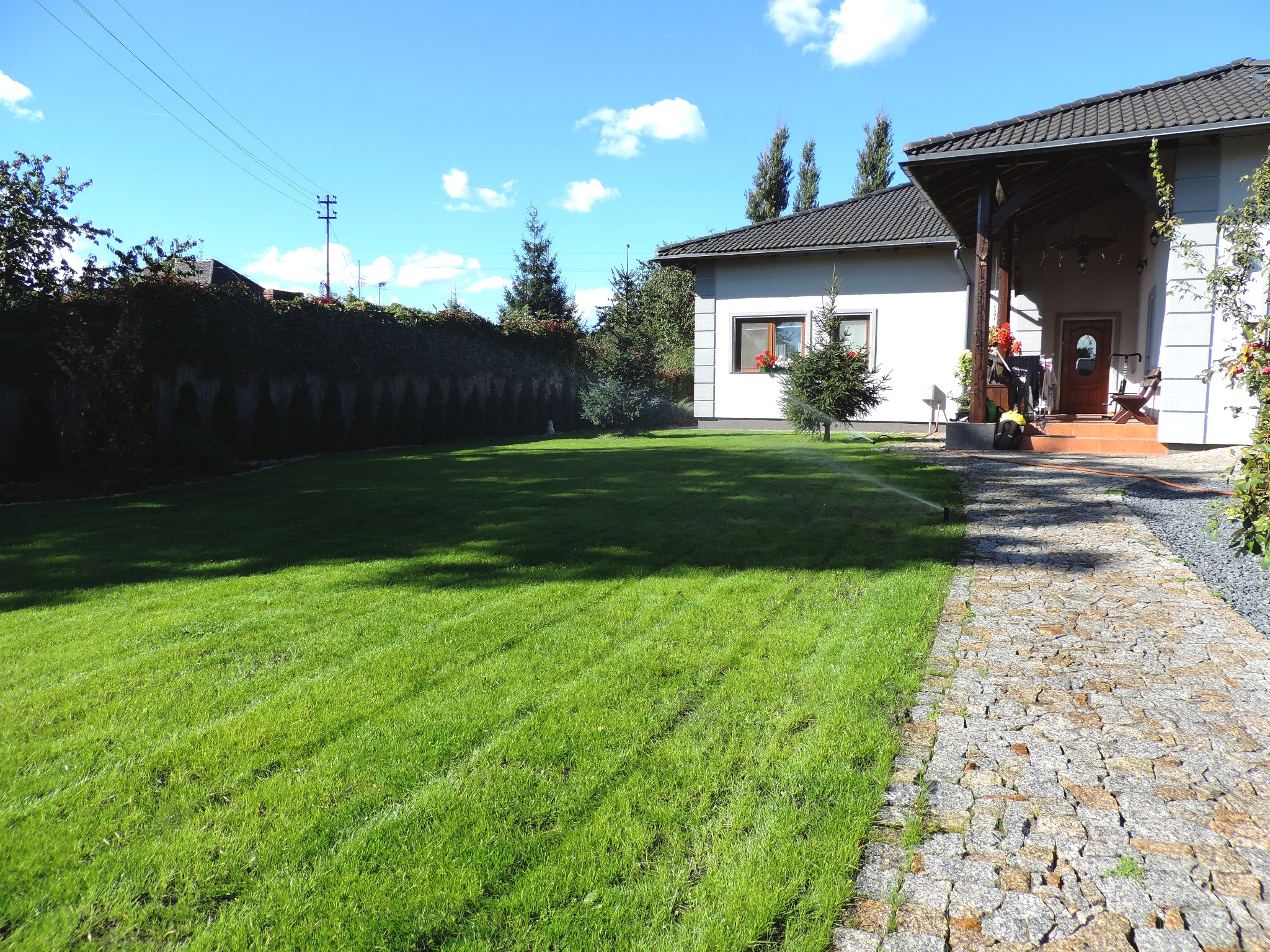 Nowy trawnik wraz z nawadnianiem.