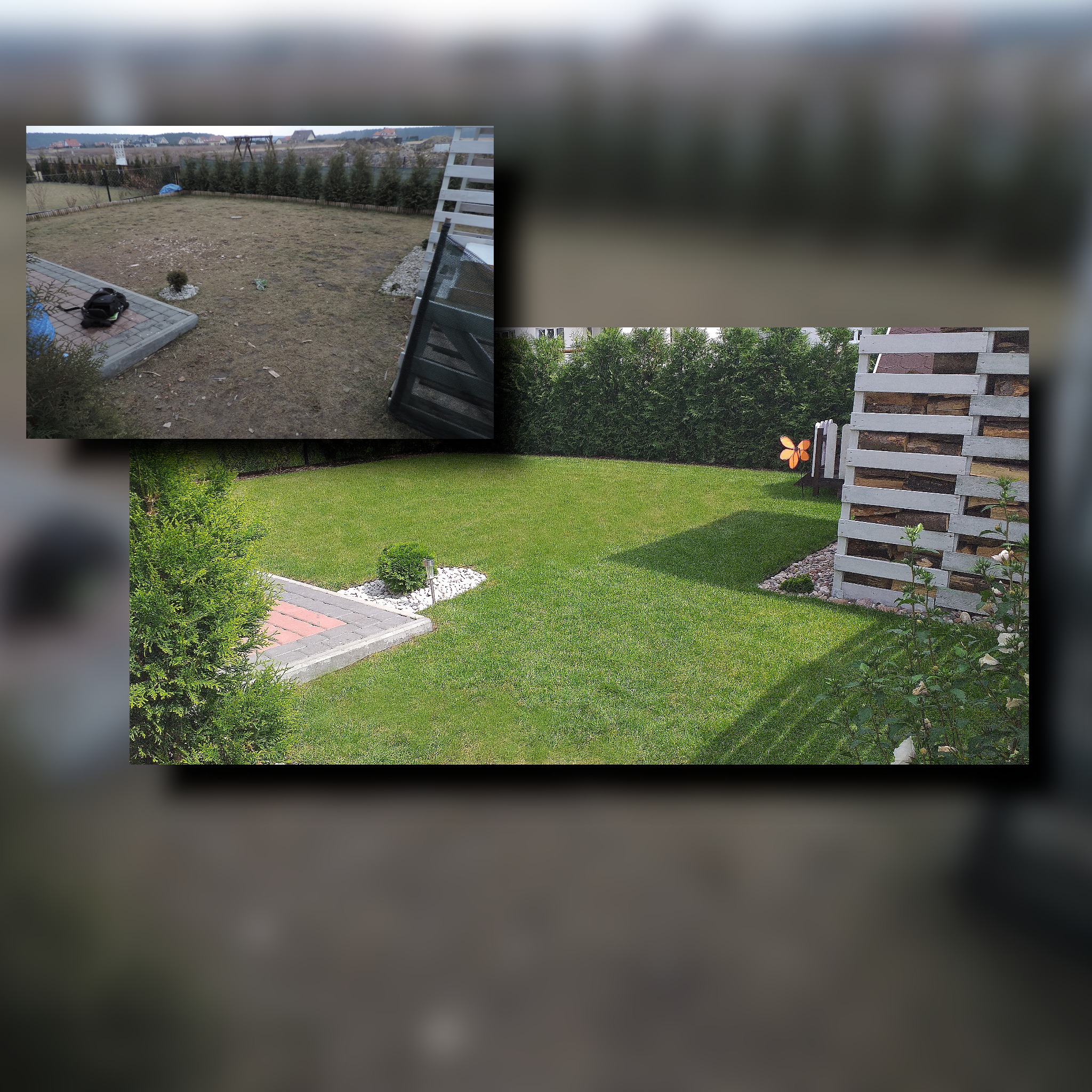 Porównanie stanu trawnika przed i po założeniu trawy z rolki: zniszczona ziemia kontra gęsta, zielona darń. Widoczne obrzeża z kostki brukowej i elementy dekoracyjne z białego kamienia.