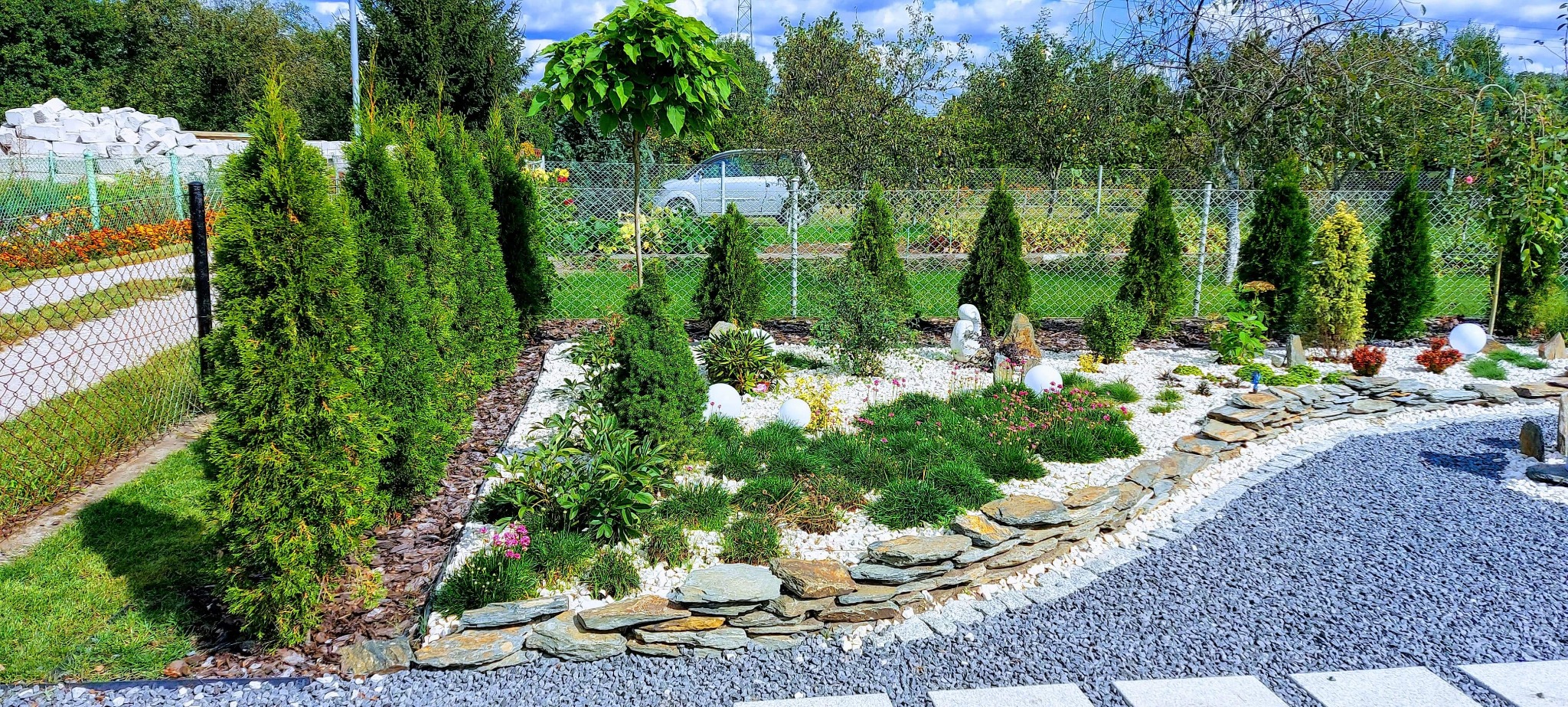 Widok ogrodu z ozdobnymi kamieniami, niskimi krzewami, kulami i tujami wzdłuż ogrodzenia z siatki, z samochodem w tle.