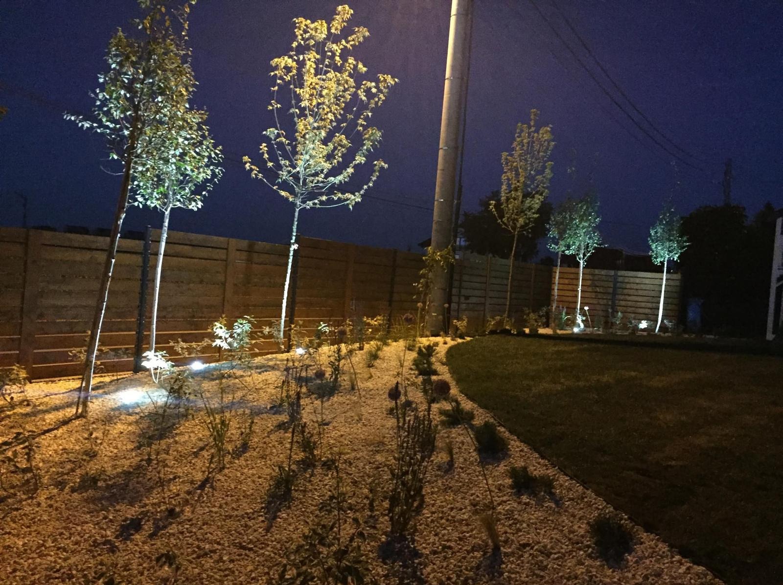Oświetlony ogród nocą: młode drzewa, biały żwir, drewniane ogrodzenie panelowe i trawnik. Lampy punktowe podkreślają roślinność.