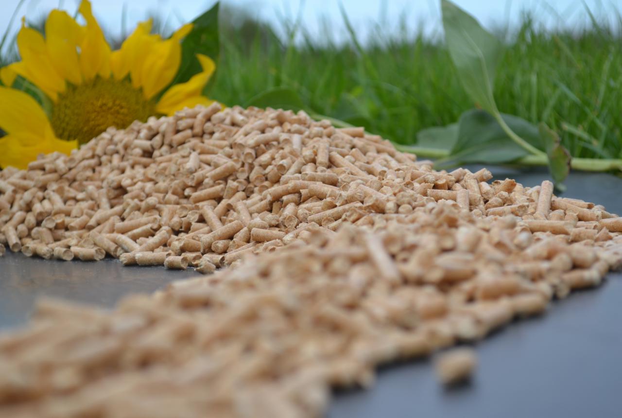 Jasny pellet drzewny ułożony w kopiec, z żółtym słonecznikiem i zieloną trawą w tle, na gładkiej, ciemnej powierzchni. Delikatne, naturalne oświetlenie.