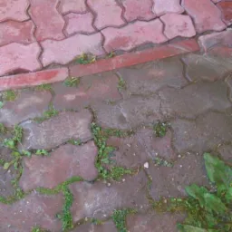 Mycie kostki brukowej