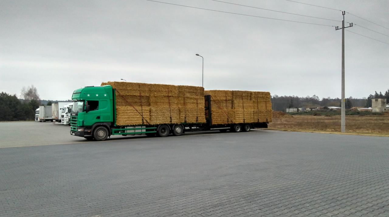 Zielona ciężarówka z naczepą przewożąca bele siana na parkingu z innymi ciężarówkami w tle.