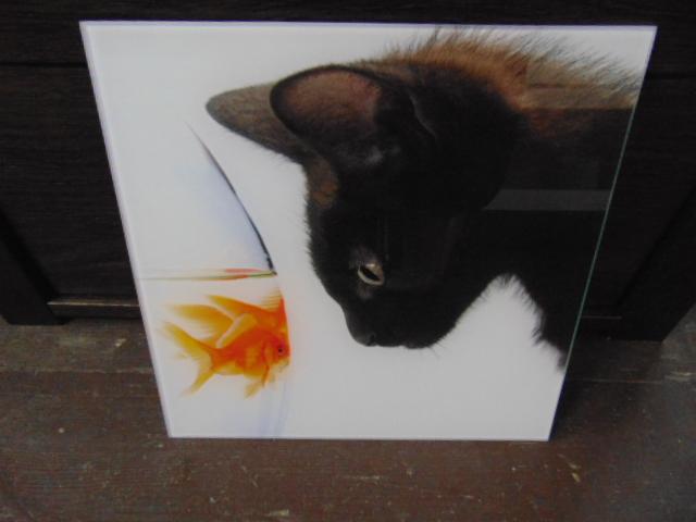 Szklana tafla z nadrukiem kota obserwującego złotą rybkę w akwarium, ustawiona na drewnianej powierzchni. Widoczne odbicia światła na szkle.