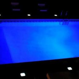 ARTMARE Sp. z o.o. - Nocny widok oświetlonego basenu z metalową drabinką, wypełnionego intensywnie niebieską wodą, z dodatkowym oświetleniem punktowym wokół.