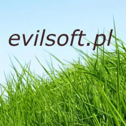 Tekst 'evilsoft.pl' na tle błękitnego nieba i soczystej, zielonej trawy.