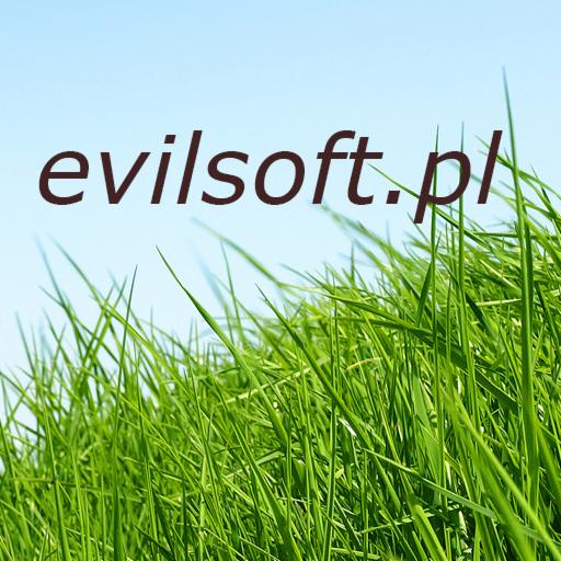 Tekst 'evilsoft.pl' na tle błękitnego nieba i soczystej, zielonej trawy.