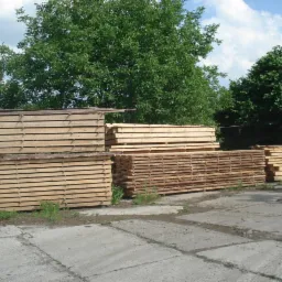 Stosy świeżo przetartej tarcicy ułożone na betonowym placu, widoczne ślady kory na niektórych deskach, zieleń i budynek w tle.