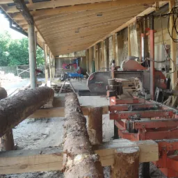 Kłody drewna przygotowane do obróbki na traku pionowym w zadaszonym tartaku. W tle stos tarcicy.