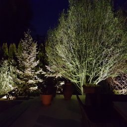 Oświetlenie ogrodu wg. naszego projektu