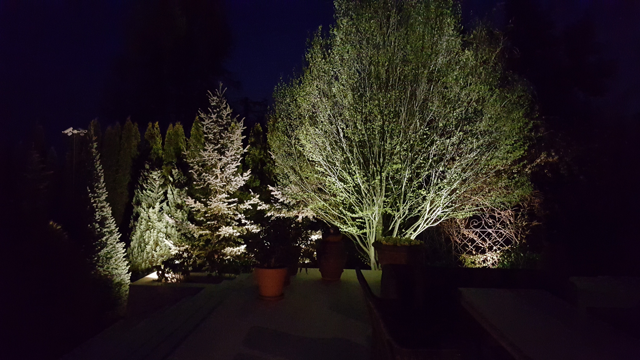 Ogród nocą z oświetlonymi drzewami iglastymi i liściastymi, donice na tarasie, kamery monitoringu widoczne w tle.