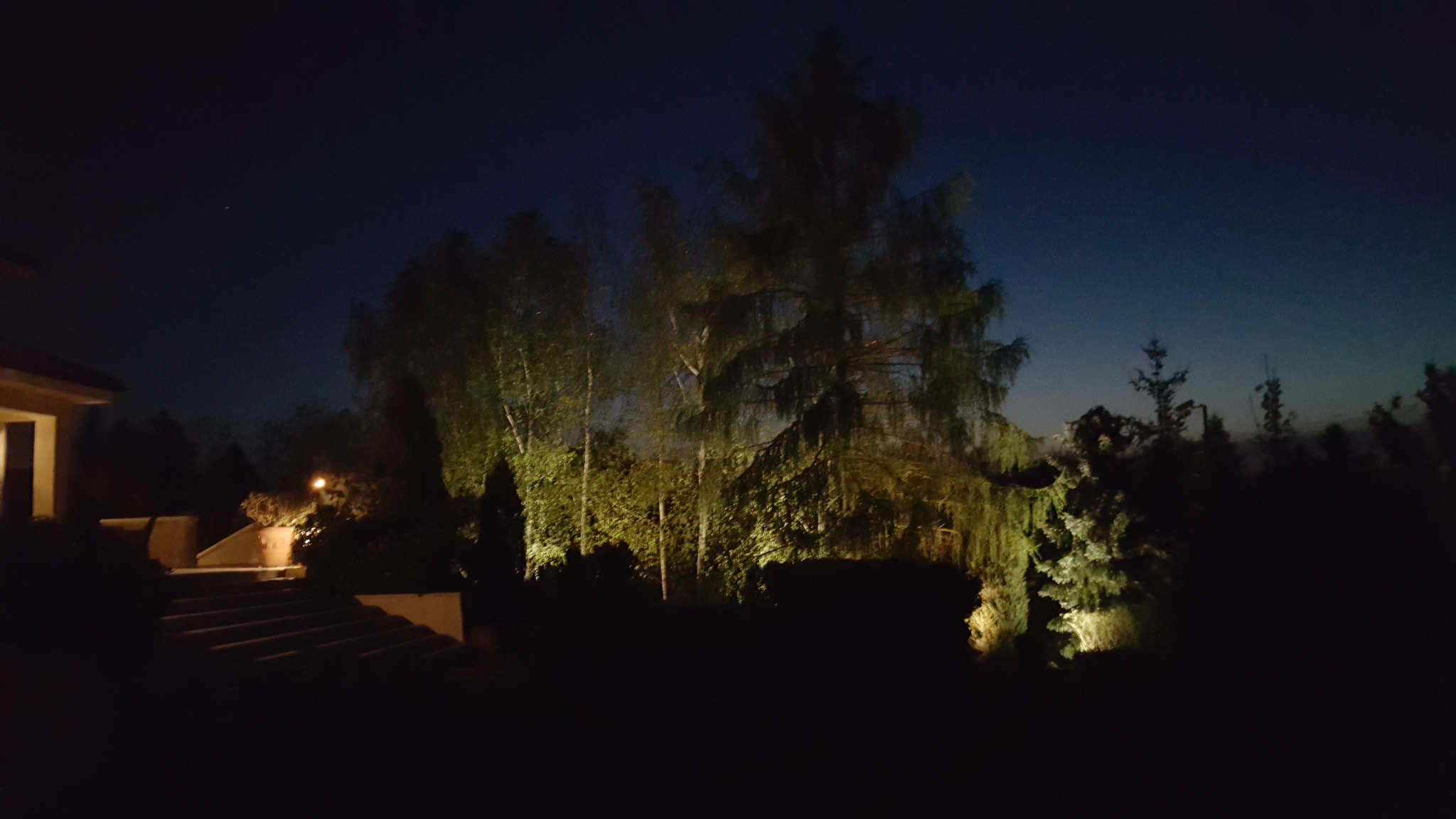 Ogród oświetlony nocą, z widocznymi schodami prowadzącymi do domu i drzewami podświetlonymi ciepłym światłem, tworzącymi nastrojowy krajobraz.