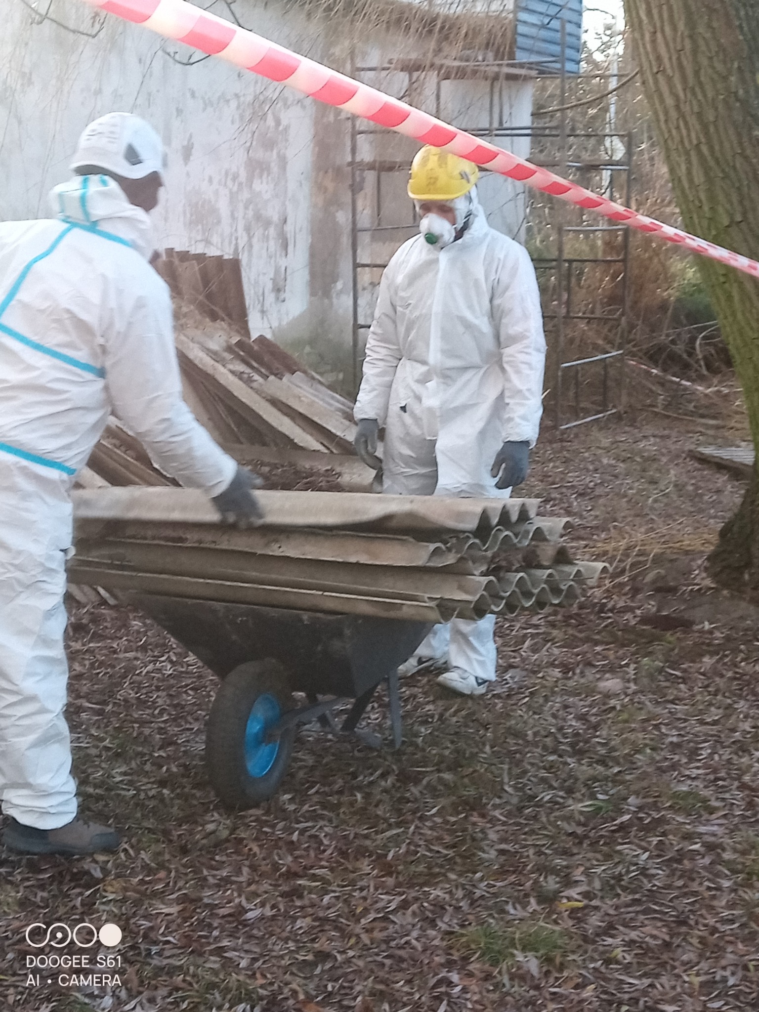 Dwóch pracowników w kombinezonach ochronnych transportuje w taczce płyty eternitu. Taśma ostrzegawcza w tle. Prace rozbiórkowe w ogrodzie.