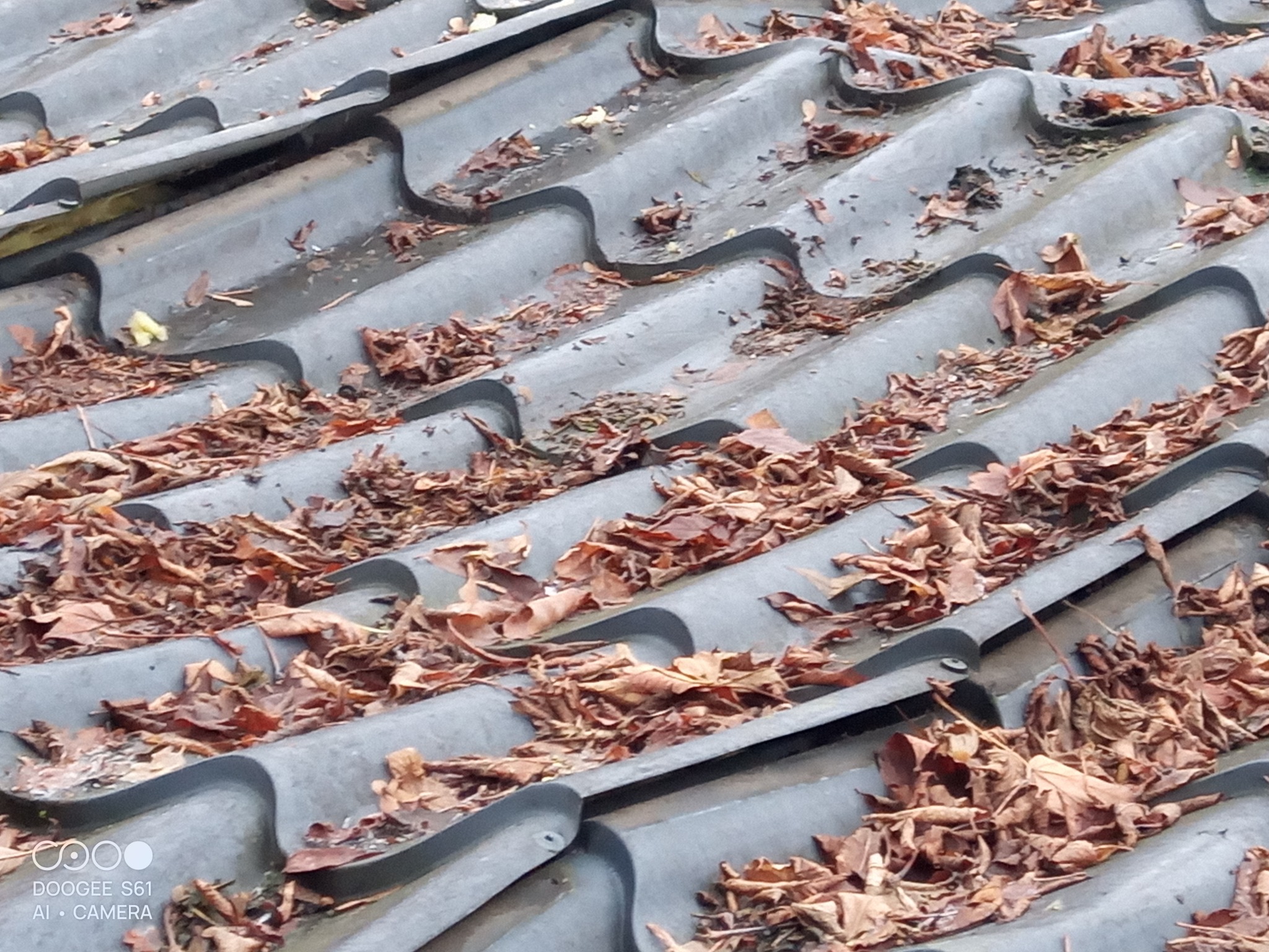 Takie dachy też robią fachowcy (psełdo )