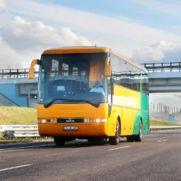 Żółto-zielony autobus MAN na autostradzie, widok z przodu, kierowca w okularach. W tle błękitne niebo i wiadukt. Tablica rejestracyjna widoczna.