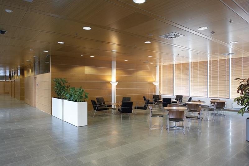 Jasne, przestronne biuro z drewnianymi panelami ściennymi, szarymi płytkami podłogowymi, stolikami i krzesłami, oraz roślinami w białych donicach, oświetlone przez wpuszczane lampy sufitowe.
