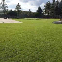 Rozległy, świeżo założony trawnik z rolki, z widocznymi śladami wałowania, na tle placu budowy i ogrodzenia z betonowych płyt.