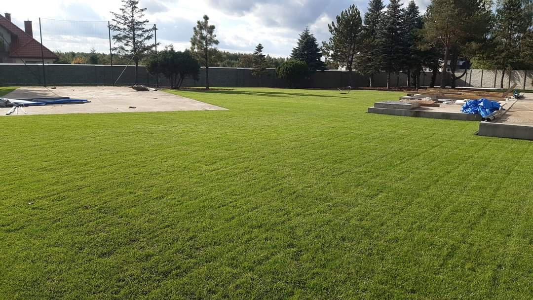 Rozległy, świeżo założony trawnik z rolki, z widocznymi śladami wałowania, na tle placu budowy i ogrodzenia z betonowych płyt.