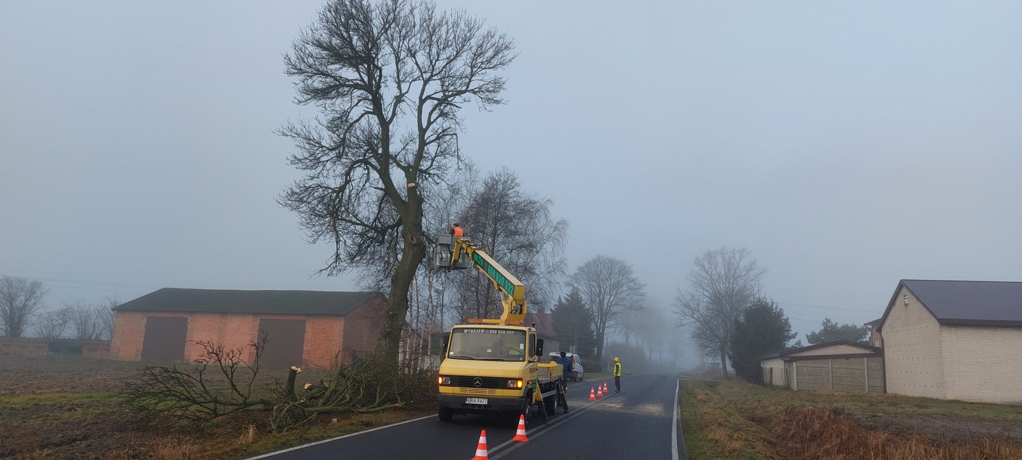 Pracownik w pomarańczowym kombinezonie na podnośniku koszowym przycina gałęzie wysokiego, bezlistnego drzewa w mglisty dzień. Na ziemi leżą odcięte gałęzie, a na drodze stoją pomarańczowe pachołki.