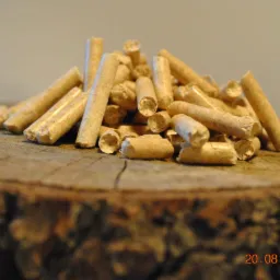 Jasne, cylindryczne brykiety na tle przekroju pnia drzewa z widoczną datą 20.08.2014 w prawym dolnym rogu.