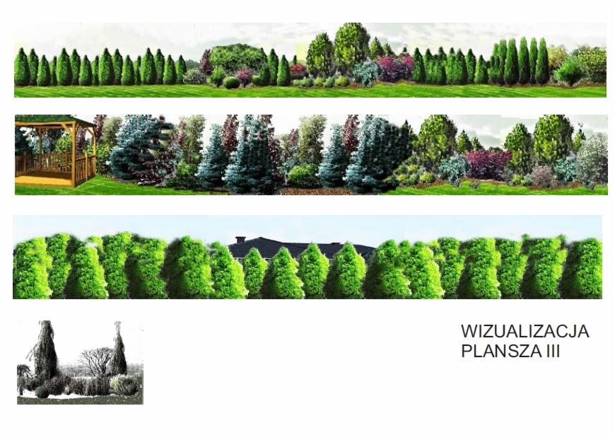 Wizualizacja planszy ogrodu w trzech ujęciach: różnorodna roślinność, altana i szpaler tuj. Prezentacja koncepcji zagospodarowania przestrzeni.