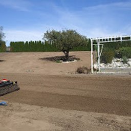 Trawa z rolki Dobra 1