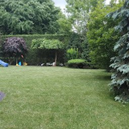 Trawa z rolki Dobra 3