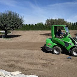 Trawa z rolki Dobra 4