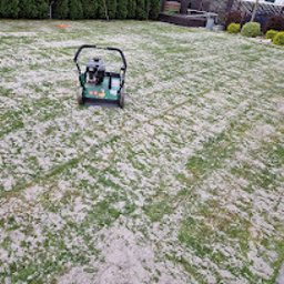 Wojciech Palkij Firma Handlowo-Usługowa - Aerator na trawniku po aeracji, widoczne ślady po nakłuciach i rozsypany piasek. W tle krzewy i ogrodzenie.
