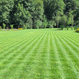 Wojciech Palkij Firma Handlowo-Usługowa - Perfekcyjnie skoszony trawnik z wyraźnymi pasami, na tle zielonych drzew i błękitnego nieba. Idealny, zadbany ogród.