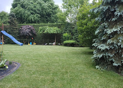 Zadbany trawnik z równo przystrzyżoną trawą, otoczony zielenią drzew i krzewów. W tle widoczny plac zabaw z niebieską zjeżdżalnią. Ujęcie z poziomu trawy.