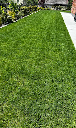 Równomiernie skoszony trawnik w ogrodzie, widok z góry. Świeża, zielona trawa, obrzeża z roślinami i kostki. Idealny trawnik po koszeniu, zadbany ogród.