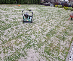 Aerator na trawniku po aeracji, widoczne ślady po nakłuciach i rozsypany piasek. W tle krzewy i ogrodzenie.