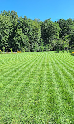 Perfekcyjnie skoszony trawnik z wyraźnymi pasami, na tle zielonych drzew i błękitnego nieba. Idealny, zadbany ogród.