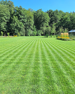 Perfekcyjnie skoszony trawnik z wyraźnymi pasami, otoczony zielenią drzew i krzewów, z widoczną altaną w tle. Słoneczny dzień, równomierne oświetlenie.