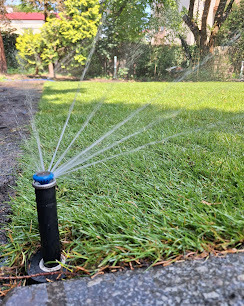 Działający zraszacz wynurzalny nawadnia świeżo założony trawnik z rolki, widoczne krople wody w promieniach słońca, obrzeże z kostki.