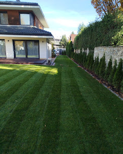 Perfekcyjnie skoszony trawnik z wyraźnymi pasami, nowoczesny dom z białymi ścianami i ciemnym dachem w tle, rząd tuj wzdłuż ogrodzenia. Słoneczny dzień.