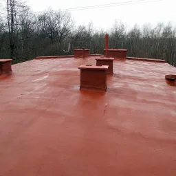 Czerwony dach pokryty płynną membraną z kominami i antenami satelitarnymi na tle drzew bez liści w pochmurny dzień.