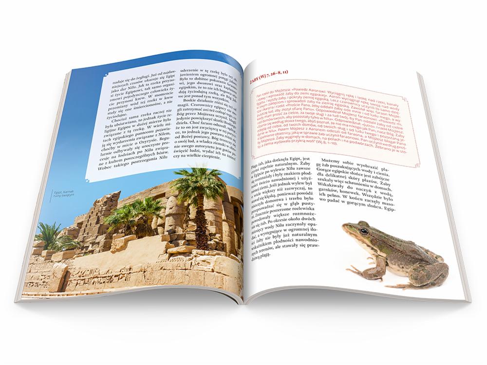 Projekt graficzny i łamanie albumu