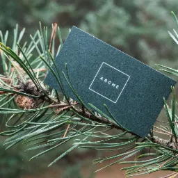 Tworzenie www poznań