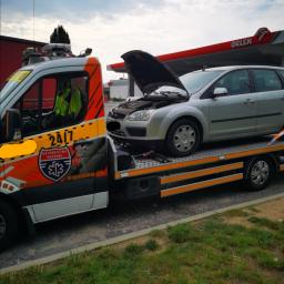 GC Assistance Mateja - Pierwszorzędny Transport Samochodu z Włoch