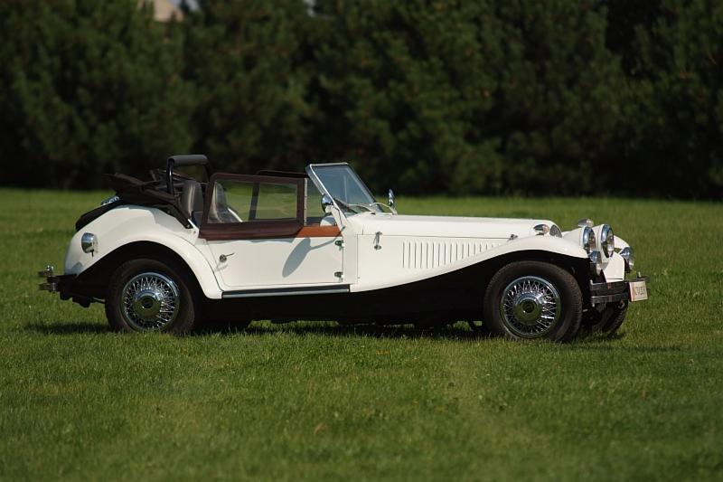 Elegancki, biały kabriolet retro na zielonej trawie, z rozłożonym dachem i chromowanymi detalami, prezentowany w słoneczny dzień.