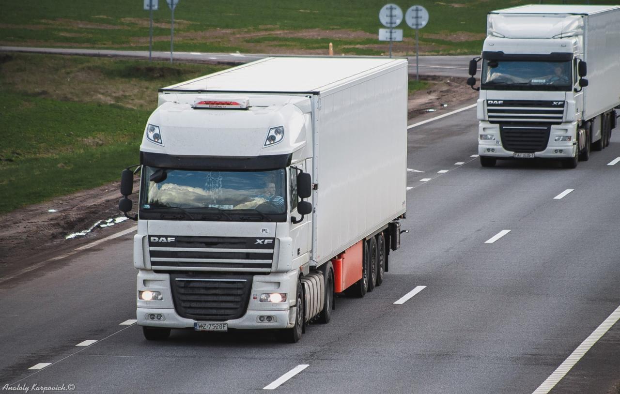 transport chłodniczy międzynarodowy