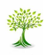 Stylizowana grafika drzewa z zielonymi liśćmi, symbolizująca wzrost i rozwój.